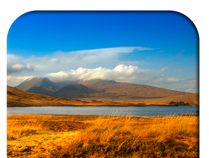 Object Sign Saying No With Group Of People